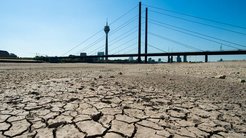 Brücke ohne Fluss: Während der Trockenheit im Jahr 2018 sank der Wasserstand vieler Gewässer wie etwa des Rheins drastisch. Wie hier bei Düsseldorf beeinträchtigte das auch die Binnenschifffahrt stark.