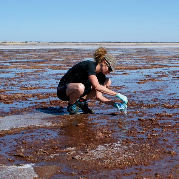 A woman wearing blue gloves stands in a dried-up salt lake and takes samples.